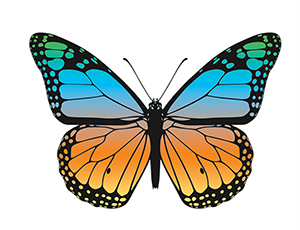 blue and gold illustrated butterfly