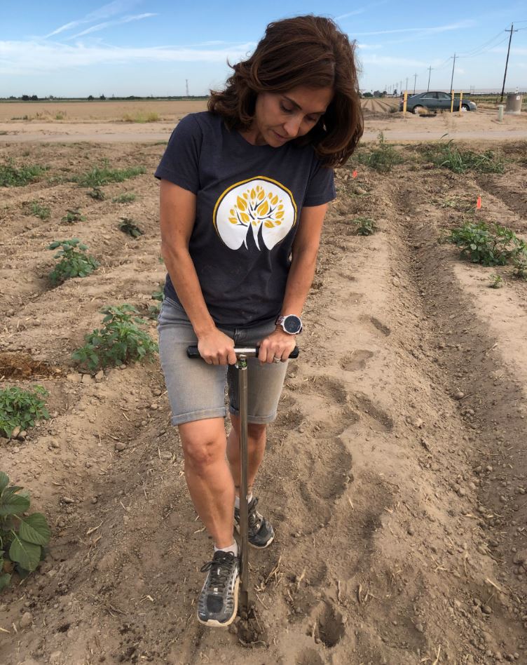 Merced Hemp