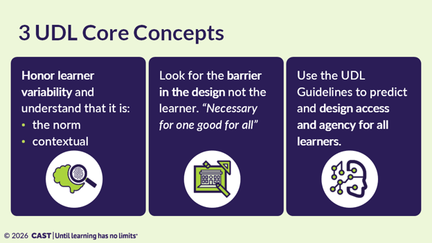3 UDL Core Concepts