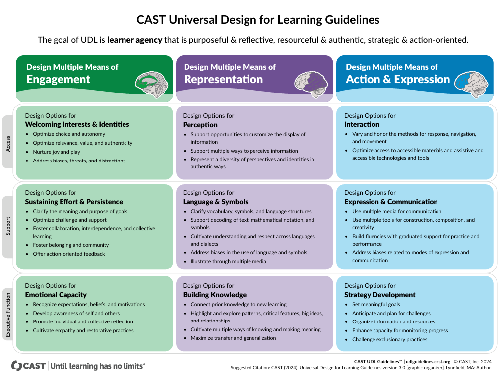CAST Universal Design for Learning Guidelines