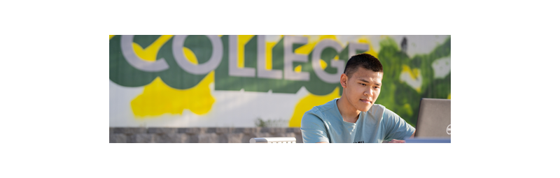 Student, male appearing, on laptop outside with the word College on the wall behind them.