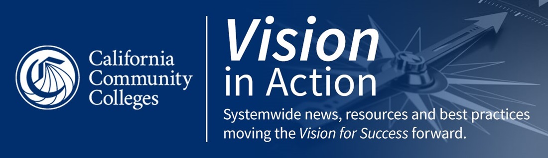 vision in action banner